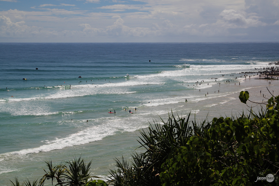 snapper by jason feast