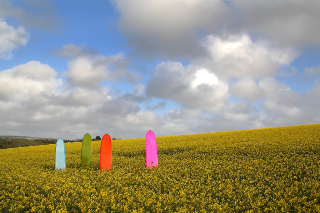 skinner CREDIT JASON FEAST  Bear Boards  (11)