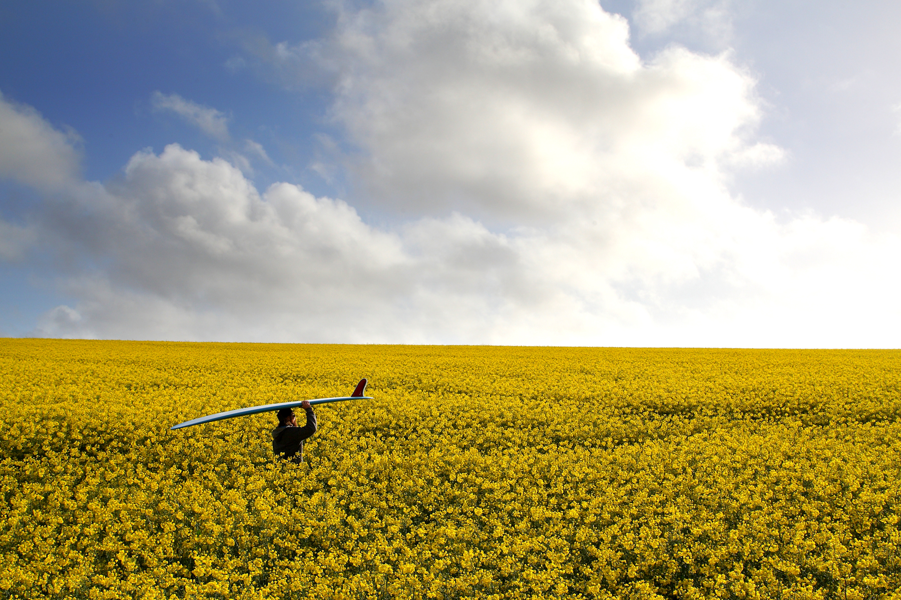 Bear Surfboards Photo Shoot