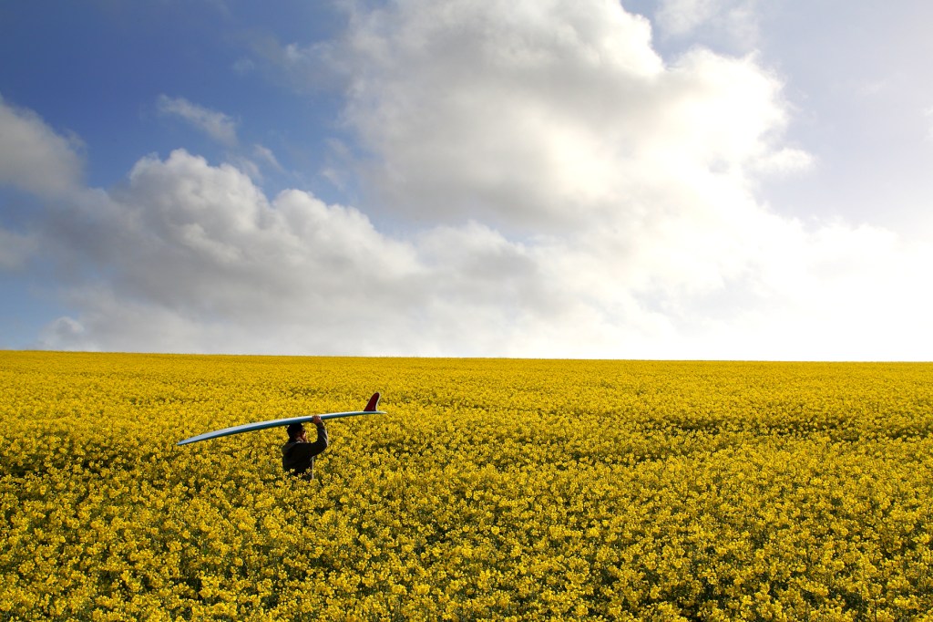 skinner CREDIT JASON FEAST  Bear Boards  (26)