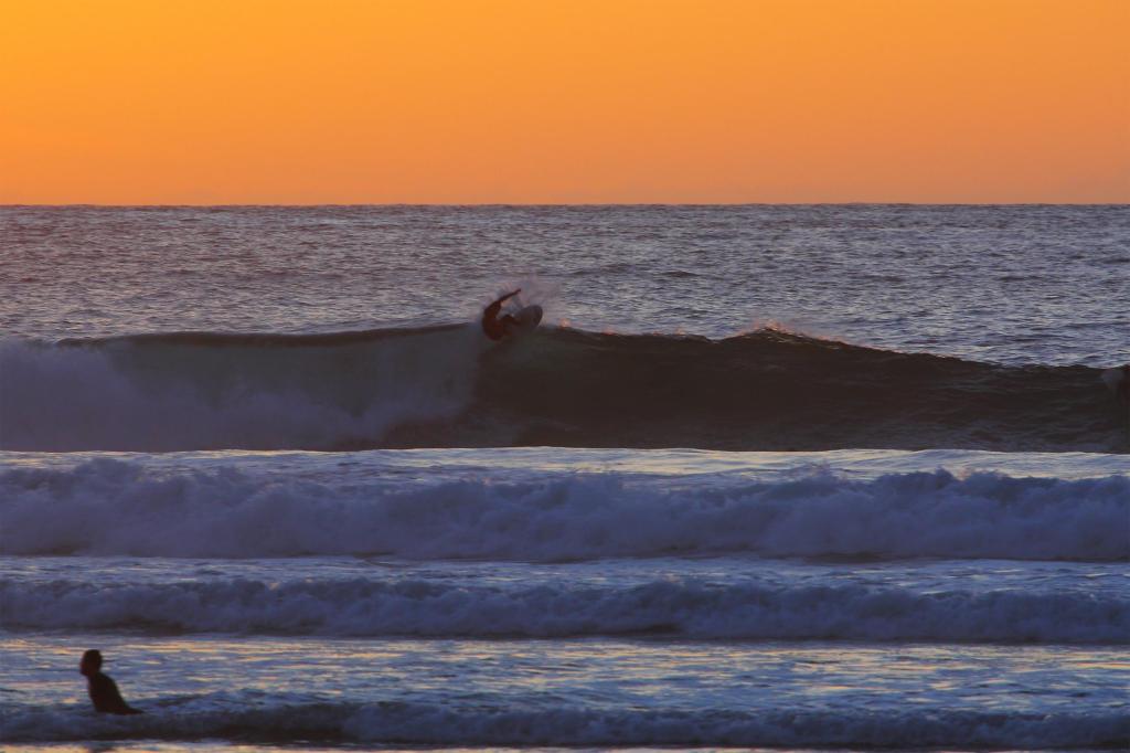 JF152871 .CREDIT JASON FEAST