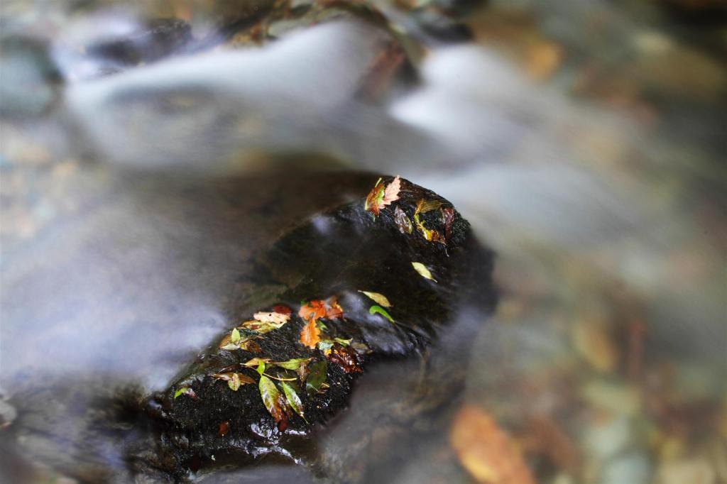 JF1L7764 .CREDIT JASON FEAST