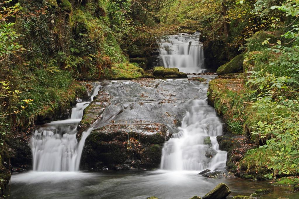 JF1L7783 .CREDIT JASON FEAST