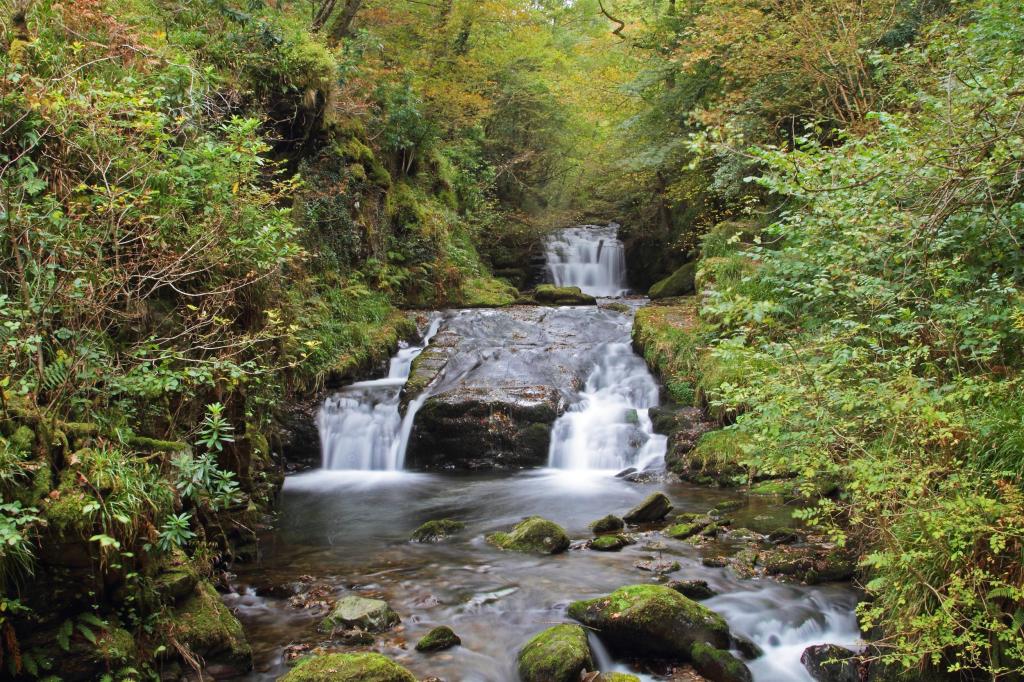 JF1L7784 .CREDIT JASON FEAST