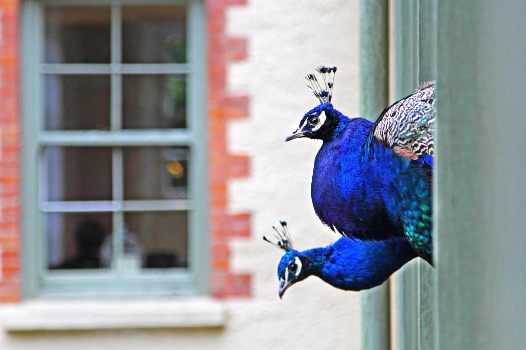 JF1L7920 .CREDIT JASON FEAST