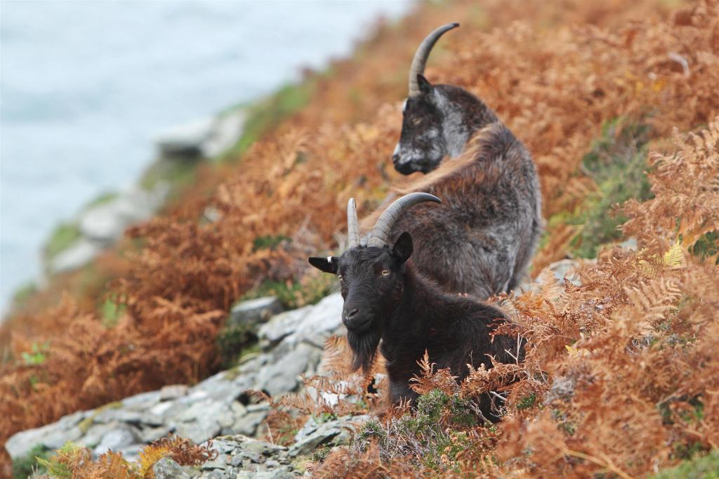 JF1L8076 .CREDIT JASON FEAST