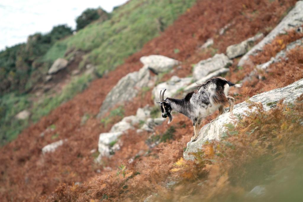 JF1L8107 .CREDIT JASON FEAST