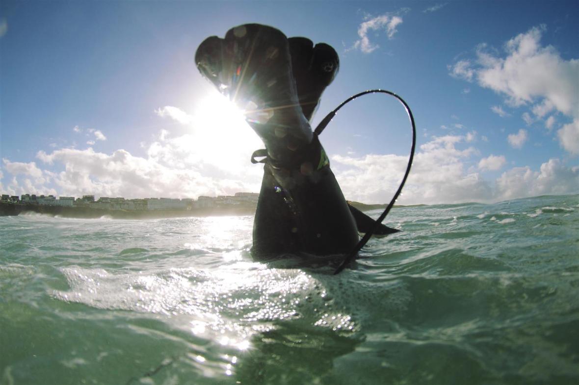 JF1L8528 .CREDIT JASON FEAST