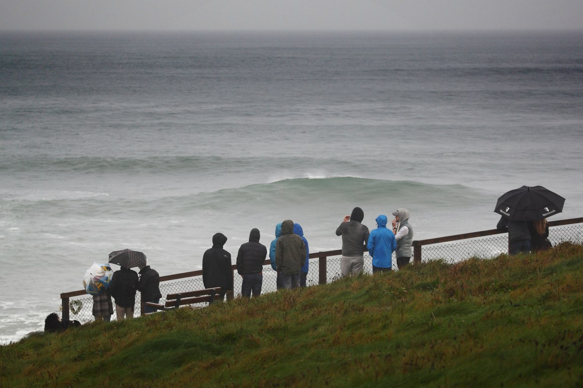 JF154954 .CREDIT JASON FEAST